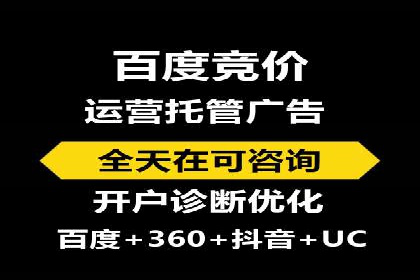 百度竞价与搜索引擎优化（SEO）的协同效应案例