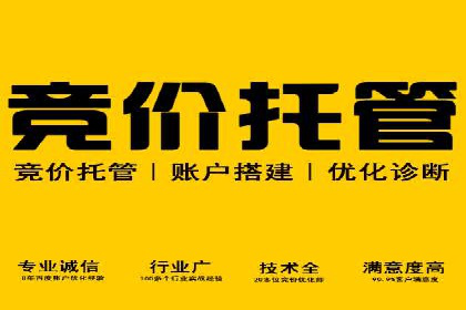竞价托管的成本控制：某公司的成功实践